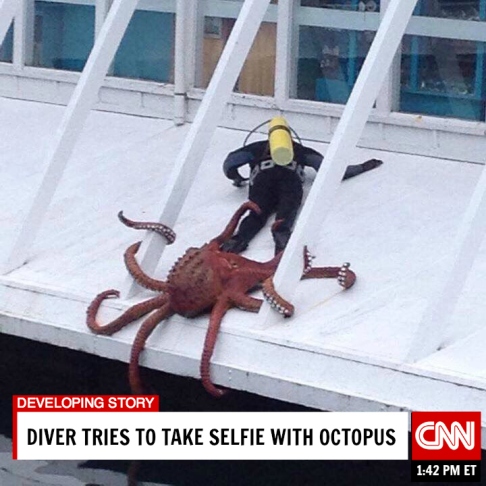 Octopus Selfie